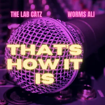 That's How It Is by The Lab Catz