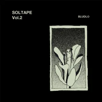 SolTape, Vol. 2 by Bludlo