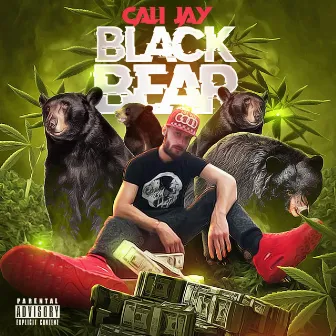 Black Bear by Cali Jay