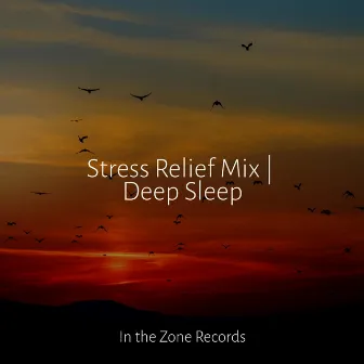 Stress Relief Mix | Deep Sleep by Easy Sleep Music