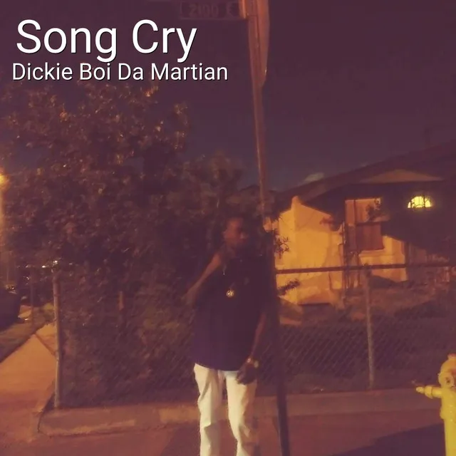 Song Cry