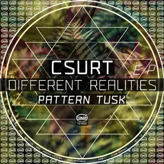 Different Realities EP by Csurt