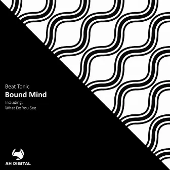 Bound Mind by Beat Tonic