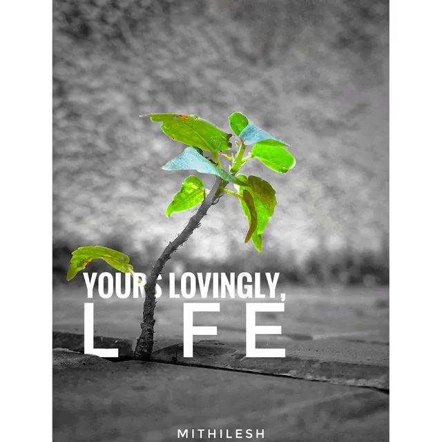 Yours Lovingly, Life