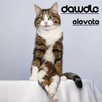 Elevate by Dawdle