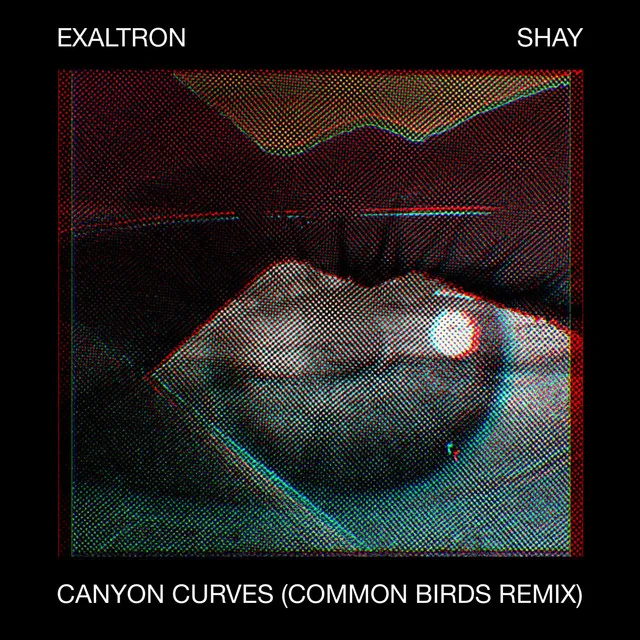 Canyon Curves - Common Birds Remix