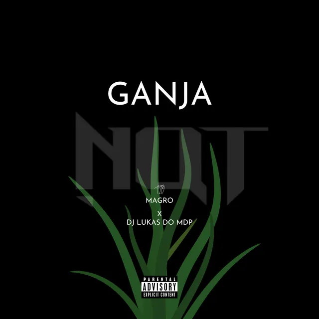 Ganja