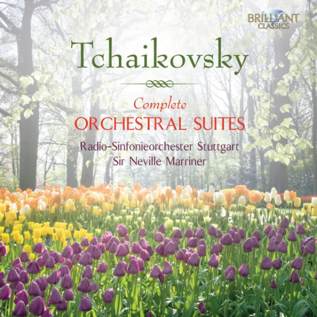 Orchestral Suite No. 4 in G Major, Op. 61 "Mozartiana": III. Preghiera. Andante non tanto (Ave verum corpus, K. 618)