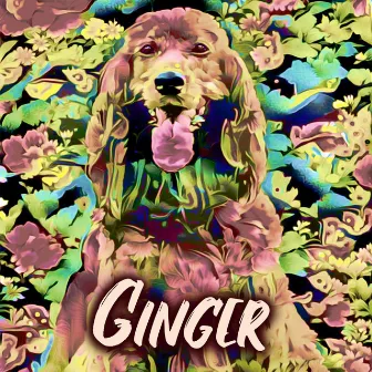 Ginger by Soothing Dog Sounds