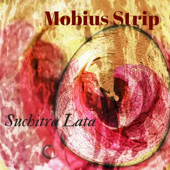 Mobius Strip by Suchitra Lata