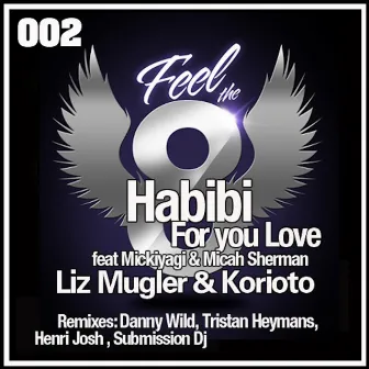 Habibi (For Your Love) by Liz Mugler