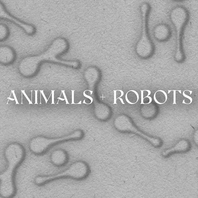 Animals & Robots