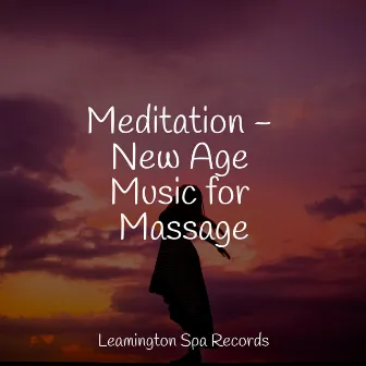 Meditation - New Age Music for Massage by Life Sounds Nature