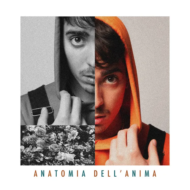 Anatomia dell'anima