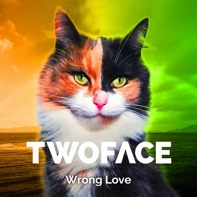 Wrong Love