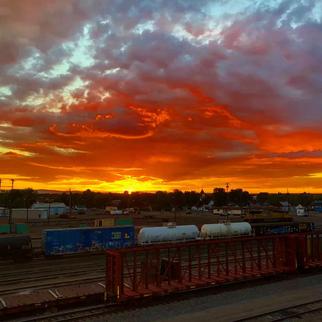 Splattered Across The Tracks