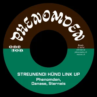 Streunendi Hünd Link up by Sterneis