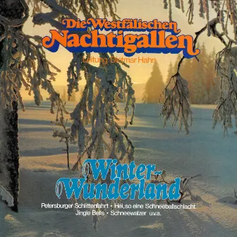 Winter-Wunderland by Die Westfälischen Nachtigallen