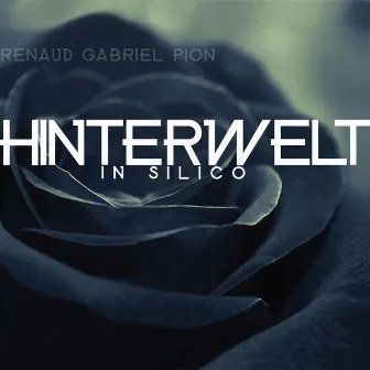 Hinterwelt in Silico by Renaud Gabriel Pion