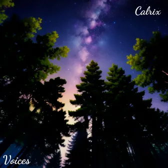 Voices by Calrix