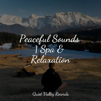 Peaceful Sounds | Spa & Relaxation by Relaxing Mindfulness Meditation Relaxation Maestro