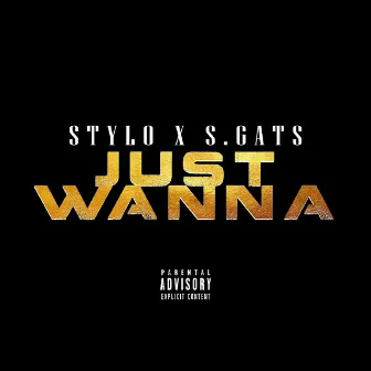 Just Wanna by Stylo