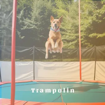 Trampolin by limit