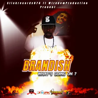 What's Going On by Brandish