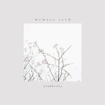 memory seed by windlesity