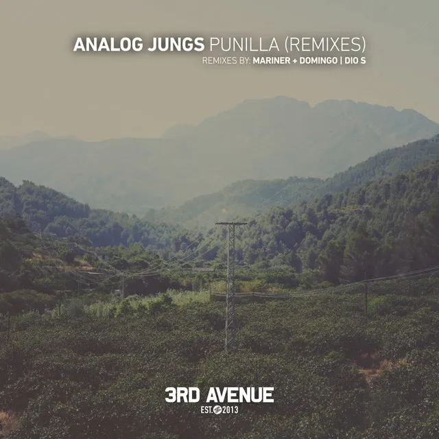 Punilla (Remixes)