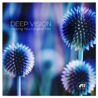 Missing You by Deep Vision