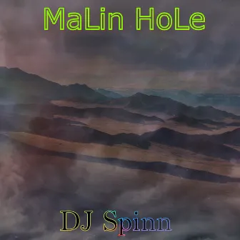 DJ Spinn by Malin Hole