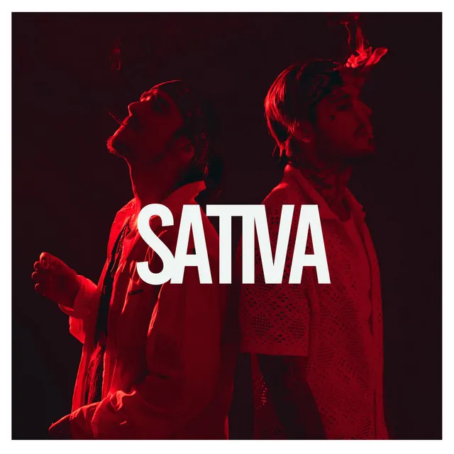 Sativa