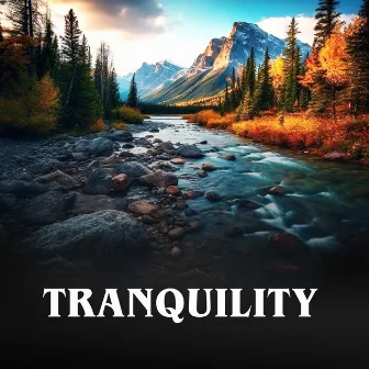 Tranquility by White Noise Relaxation for Sleeping Babies