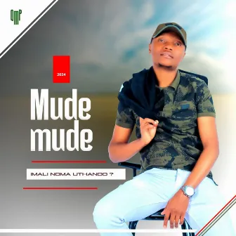 Imali noma Uthando? by MudeMude