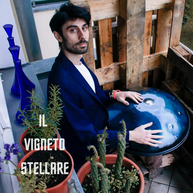 Il Vigneto Stellare