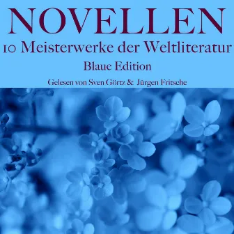 Novellen: Zehn Meisterwerke der Weltliteratur (Blaue Edition) by Gerhart Hauptmann