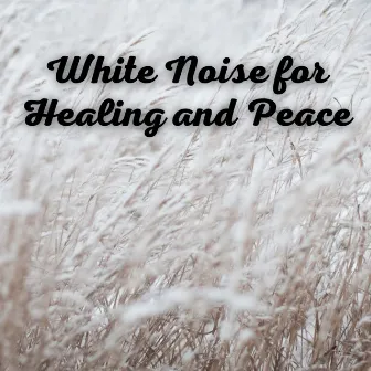 White Noise for Healing and Peace by Sleep Sounds with White Noise