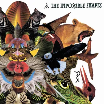 The Impossible Shapes by The Impossible Shapes