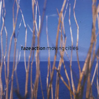 Moving Cities by Faze Action