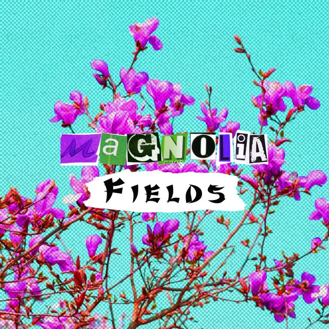 Magnolia Fields