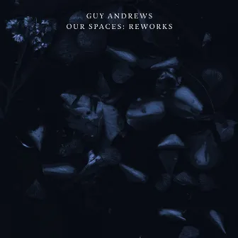 Our Spaces: Reworks by Guy Andrews