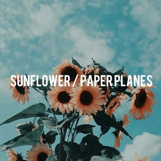 Sunflower / Paper Planes