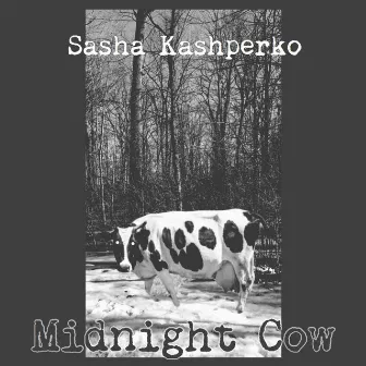 Midnight Cow by Sasha Kashperko