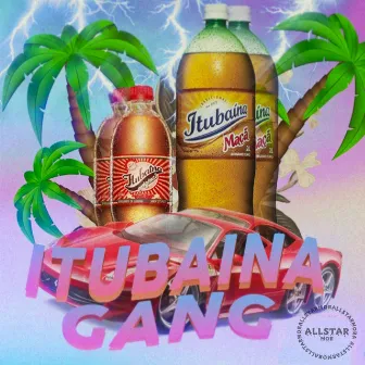 Itubaína Gang by Lil Zerik