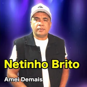 Amei Demais by Netinho Brito