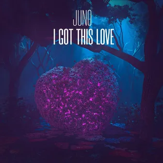 I Got This Love by Juno