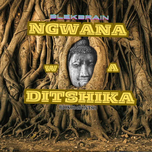 Ngwana wa ditshika