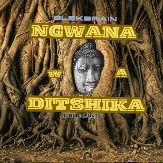 Ngwana wa ditshika by BlekBrain