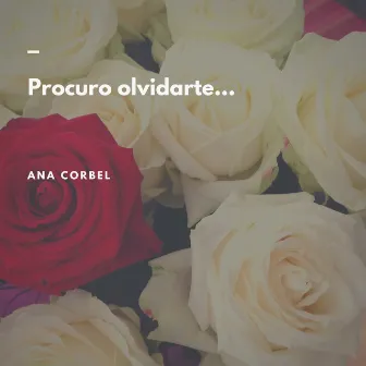 Procuro Olvidarte (Cover) by Ana Corbel